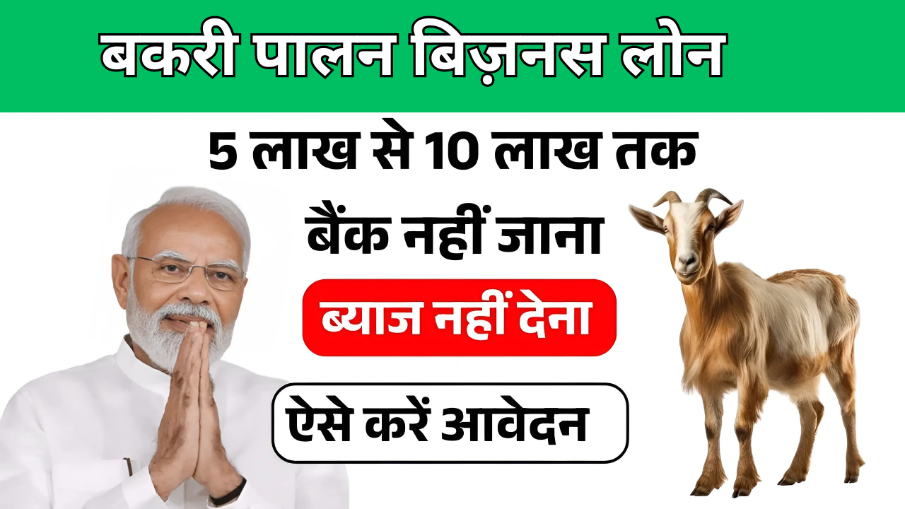 Goat Farming Loan 2025: बकरी पालन बिजनेस लोन के लिए नए आवेदन शुरू