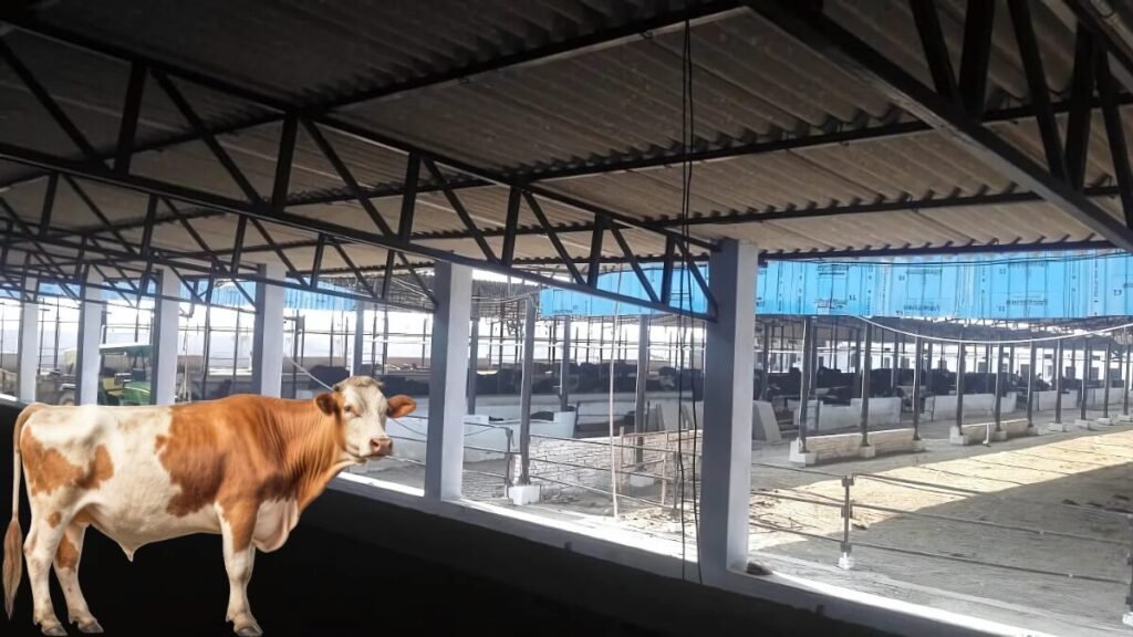 डेयरी फार्म बिजनेस लोन से खरीदे गए उपकरण